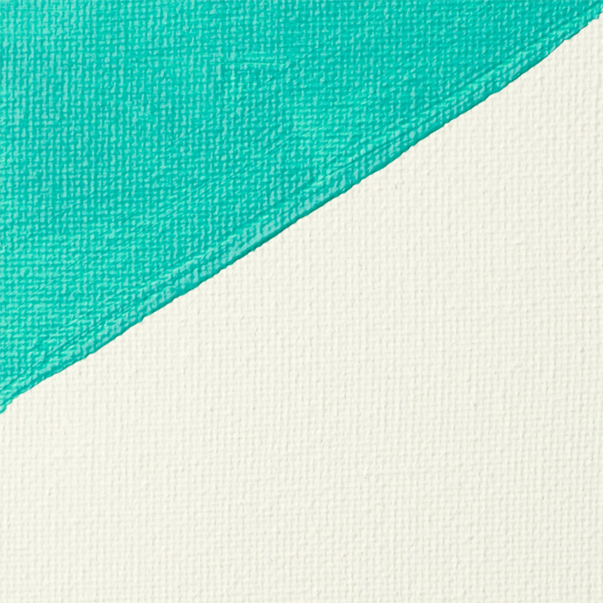 Liquitex® Acrylic Mediums™ White Gesso